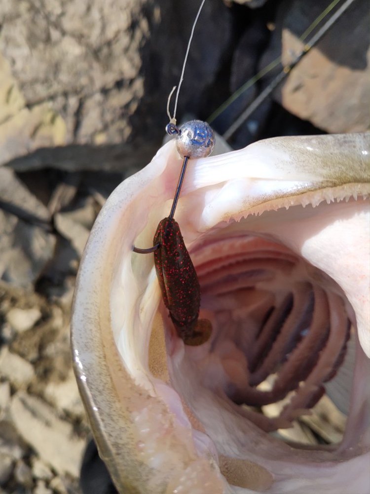 MeARi soft lure product detail — 1